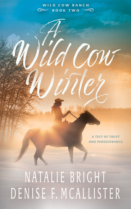 A Wild Cow Winter: A Christian Contemporary Western Romance Series (Wild Cow Ranch Book #2)