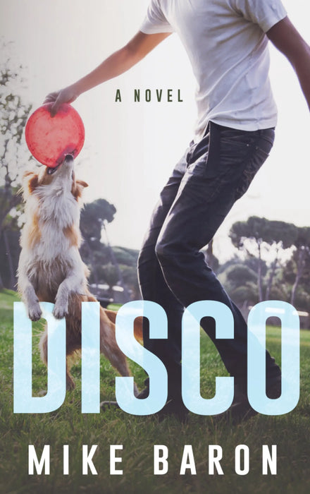 Disco: A Coming of Age Novel